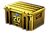 CS20 Case